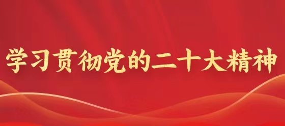 學習貫徹黨的二十大精神 學習貫徹黨的二十大精神